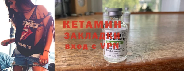 индика Горнозаводск