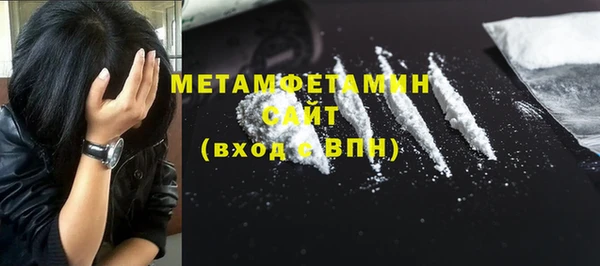 индика Горнозаводск