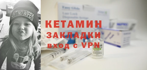 прущие грибы Вяземский
