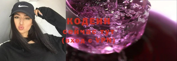 индика Горнозаводск