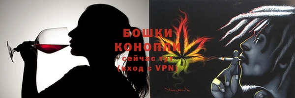 прущие грибы Вяземский