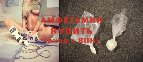 индика Горнозаводск