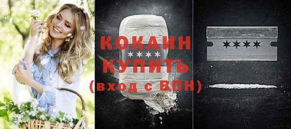 индика Горнозаводск