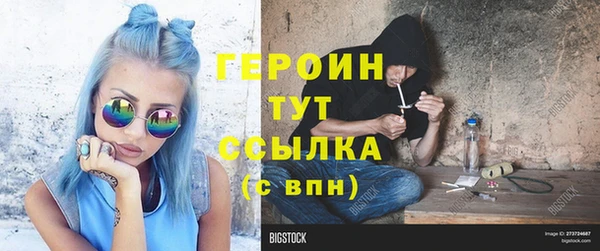 прущие грибы Вяземский