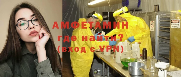 прущие грибы Вяземский