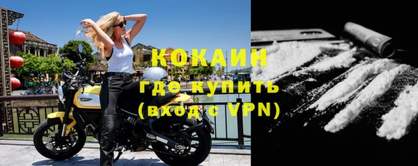 индика Горнозаводск