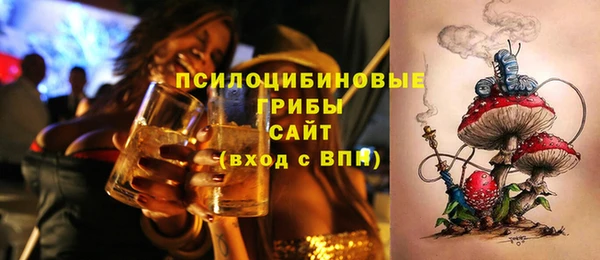 индика Горнозаводск