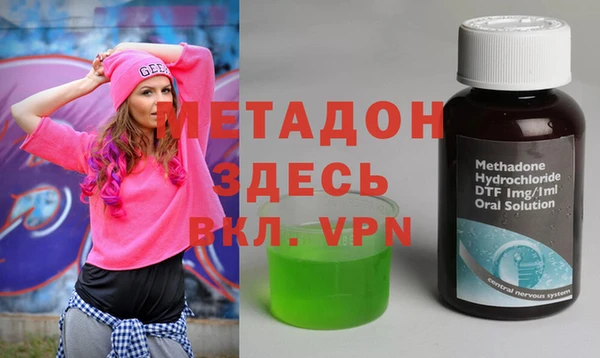 прущие грибы Вяземский